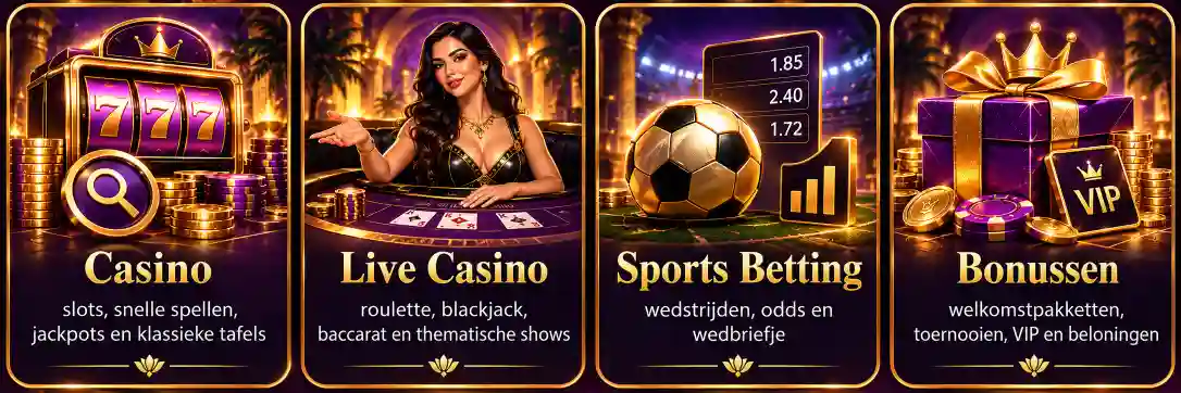 wincleo casino navigation